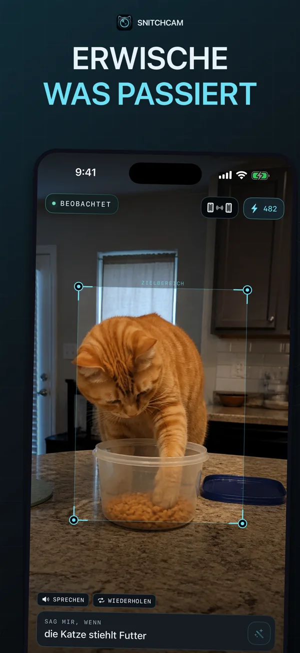 Echte App · Beispielszene — Eine sehr neugierige Katze.