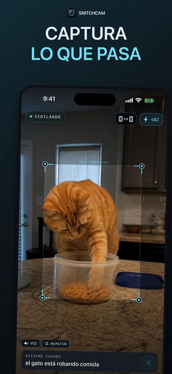 App real · Escena de ejemplo — Un gato muy curioso.