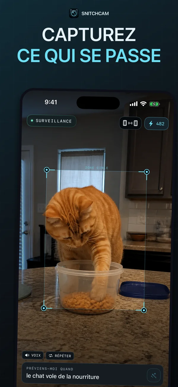 Vraie app · Scène d’exemple — Un chat très curieux.